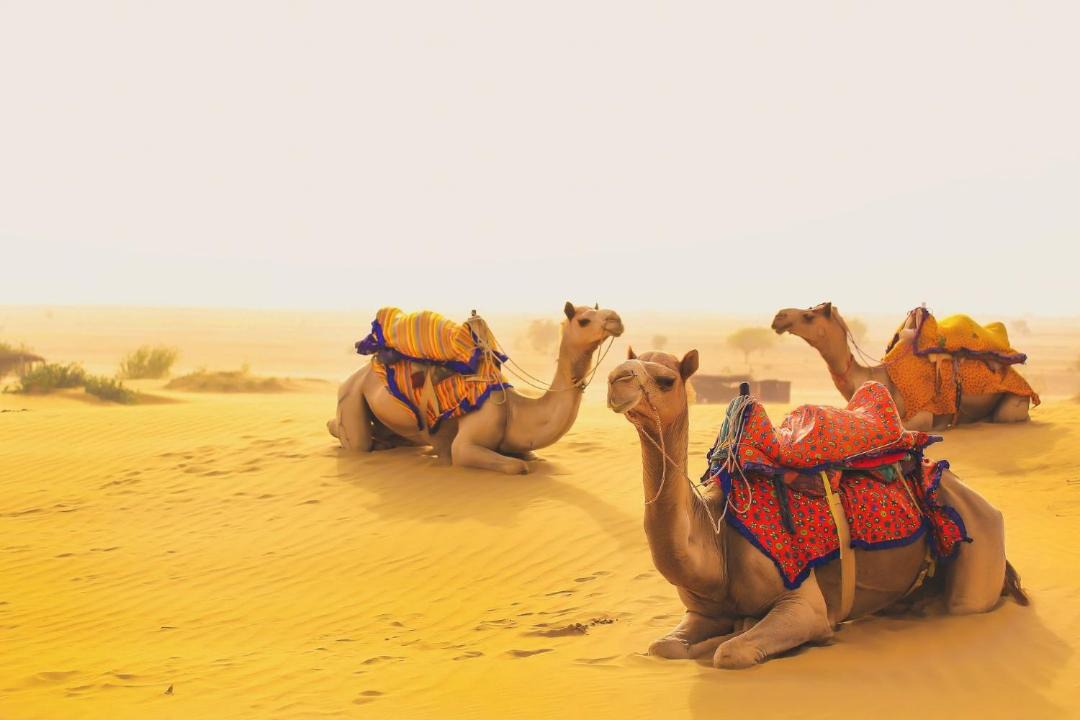Photo of Others in Jaisalmer