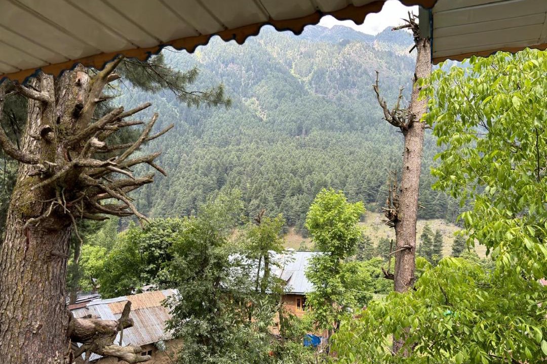 Photo of Others in Pahalgam