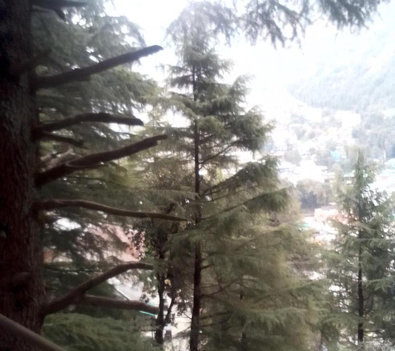 Photo of Others in Dharamshala