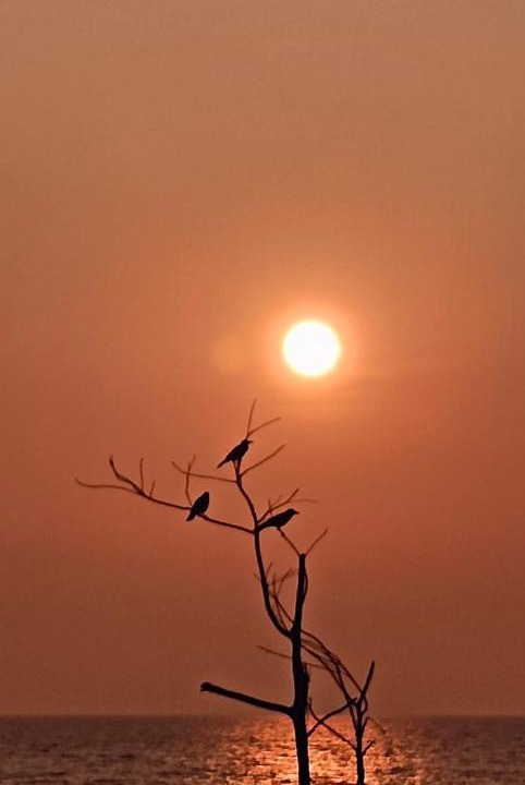 Photo of Others in Gokarna
