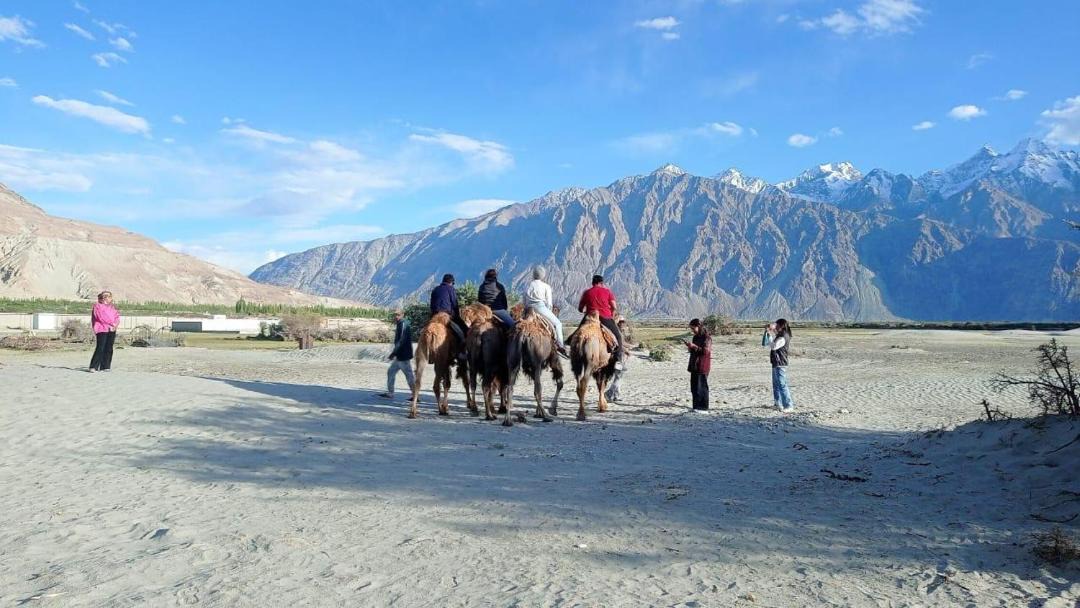 Photo of Others in Nubra Valley