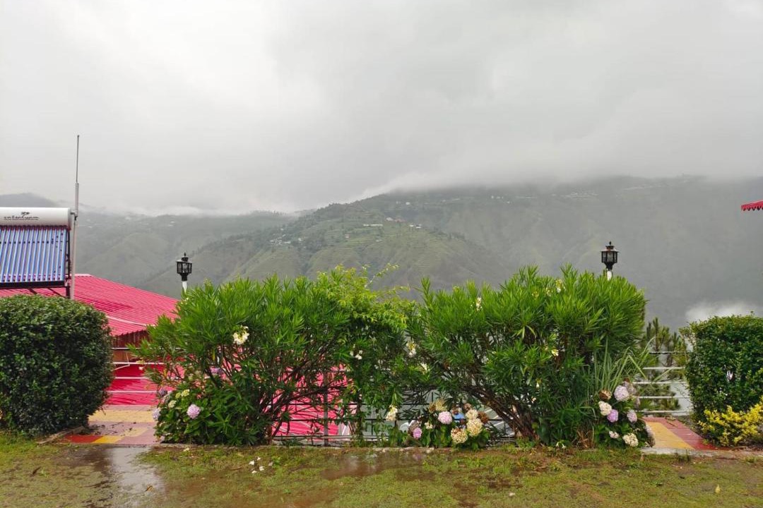 Photo of Others in Shimla