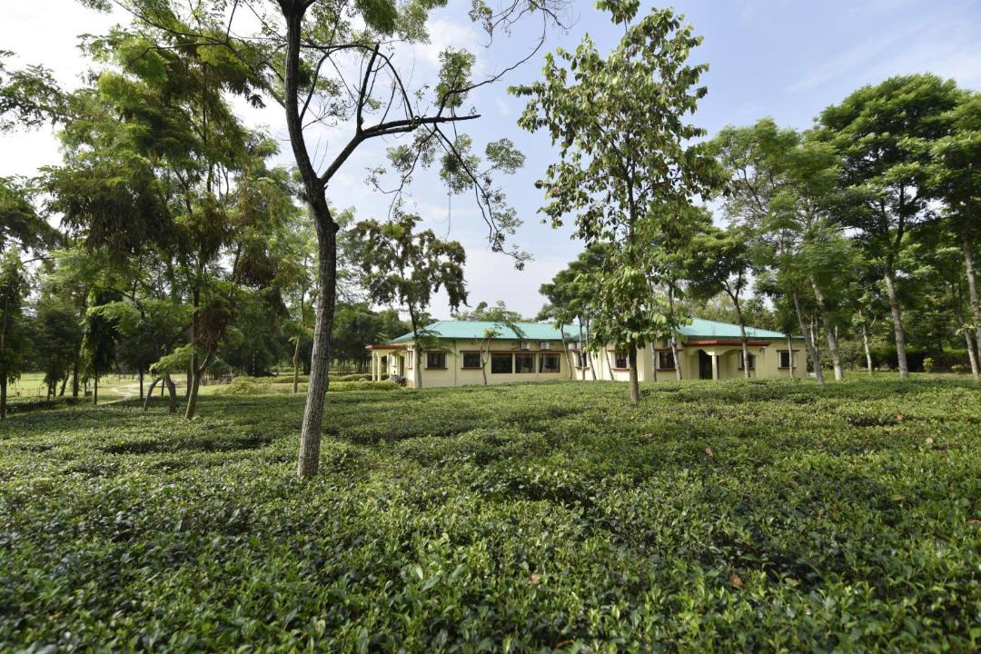 Photo of Others in Jalpaiguri