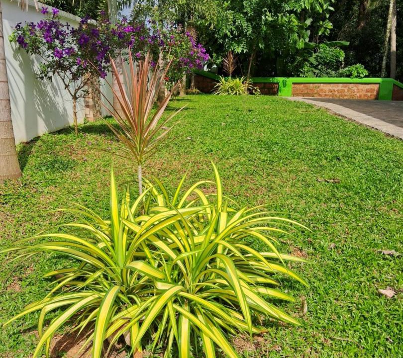 Photo of Outdoor in Kakkanad