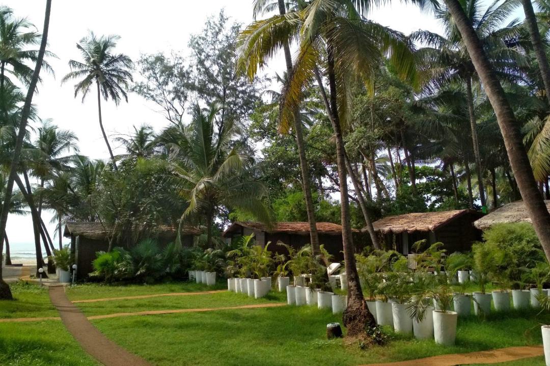 Photo of Others in Ashvem