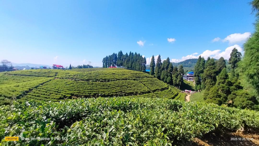 Photo of Others in Mirik