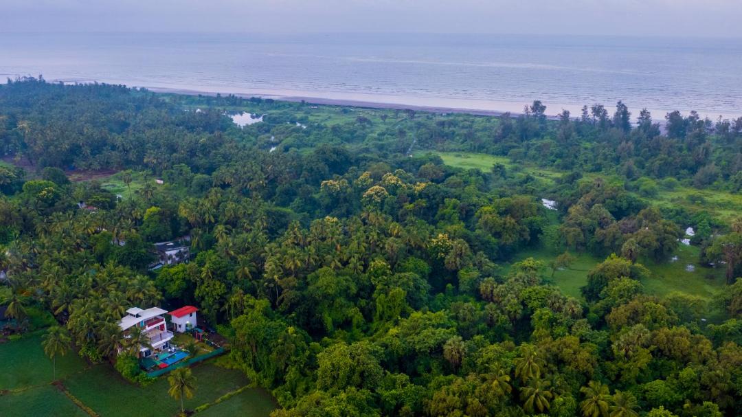 Photo of Outdoor in Nagaon