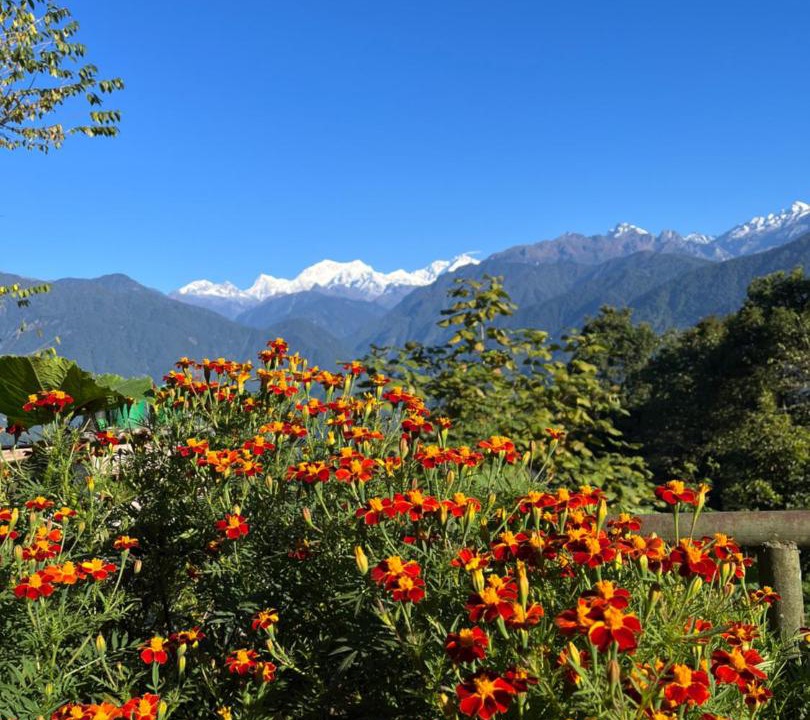 Photo of Others in Pelling