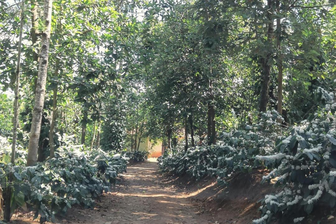 Photo of Others in Somvarpet