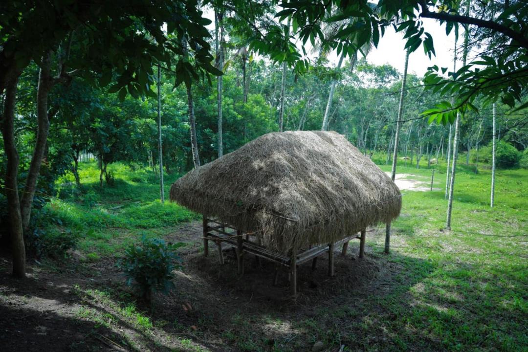 Photo of Others in Kaimane