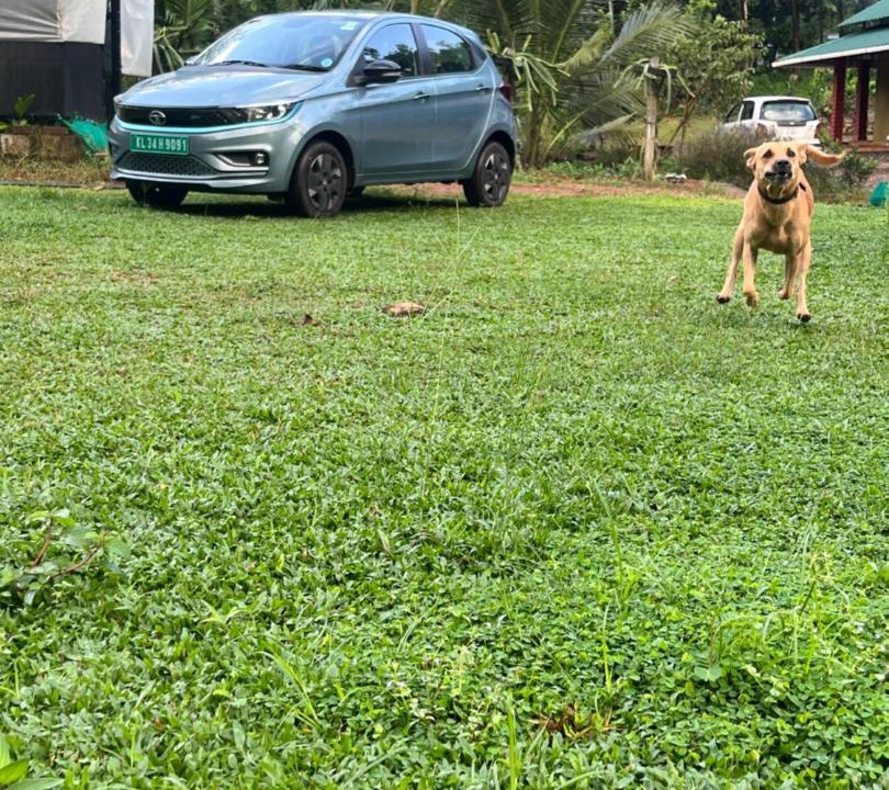 Photo of Outdoor in Kanjirappally