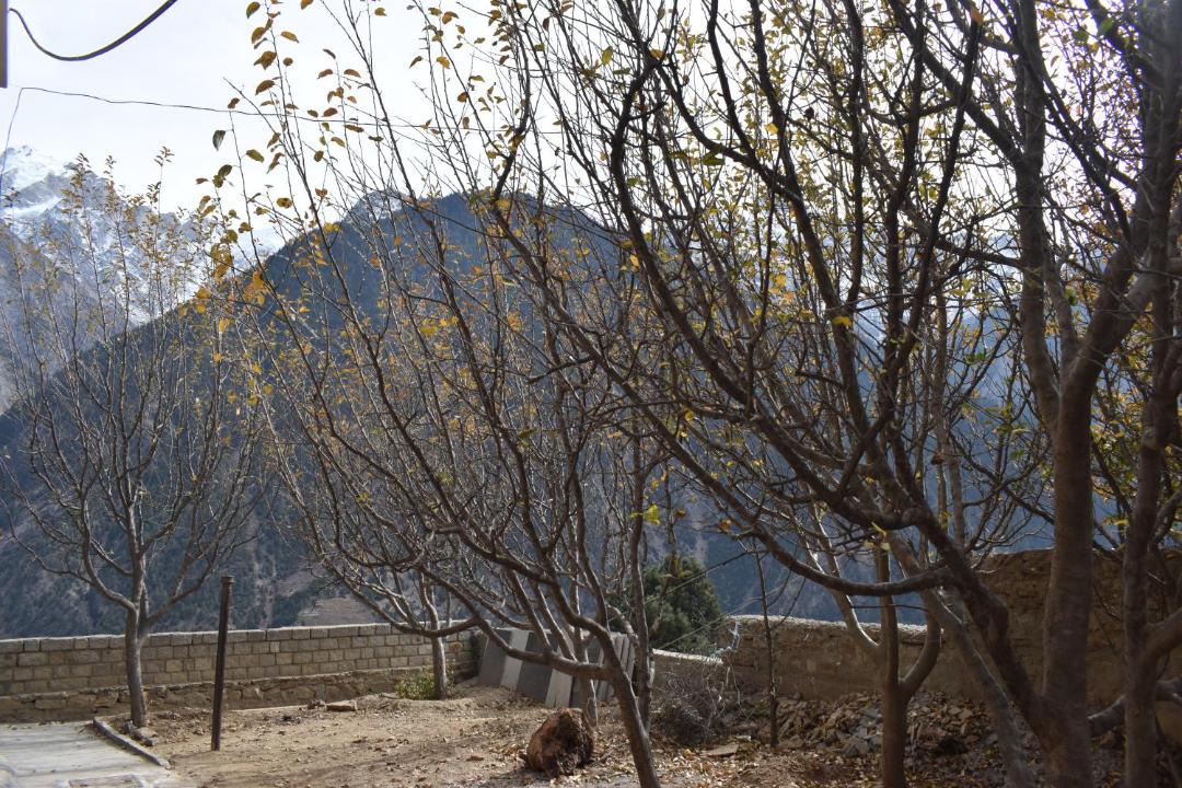 Photo of Others in Rekong Peo