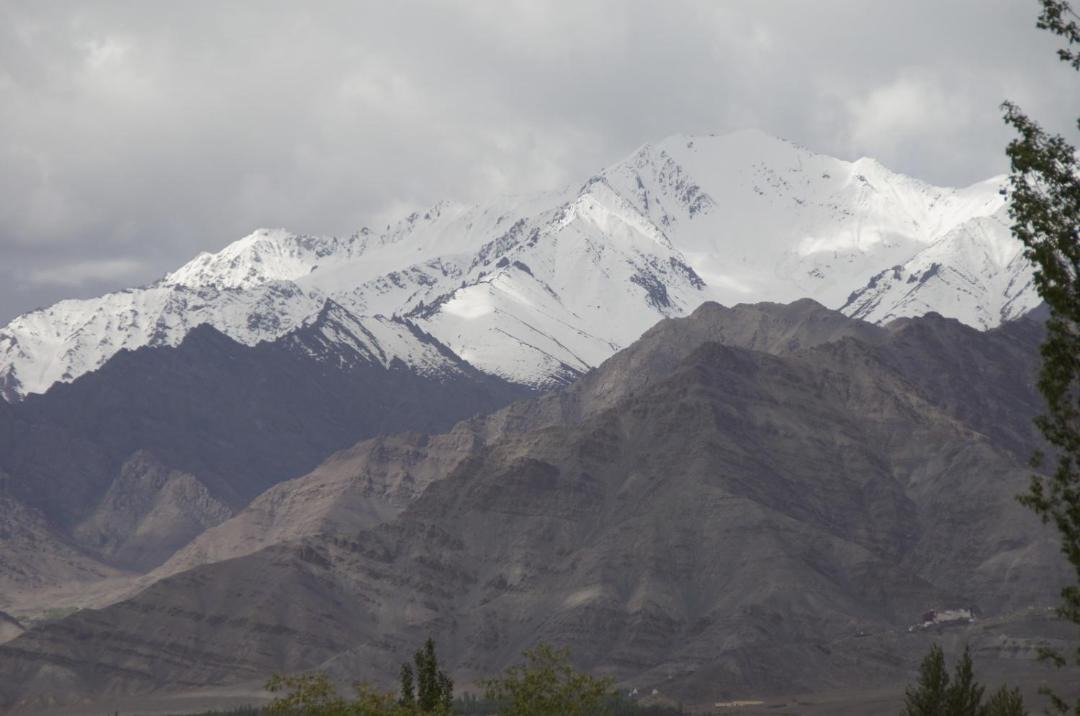 Photo of Others in Leh