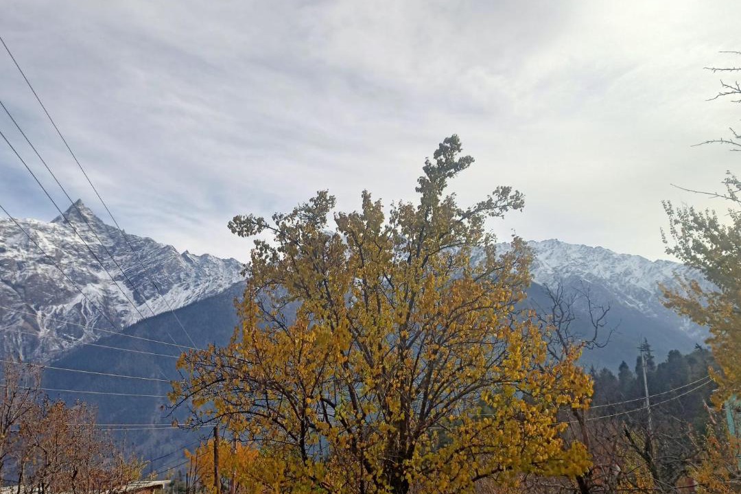 Photo of Others in Kalpa