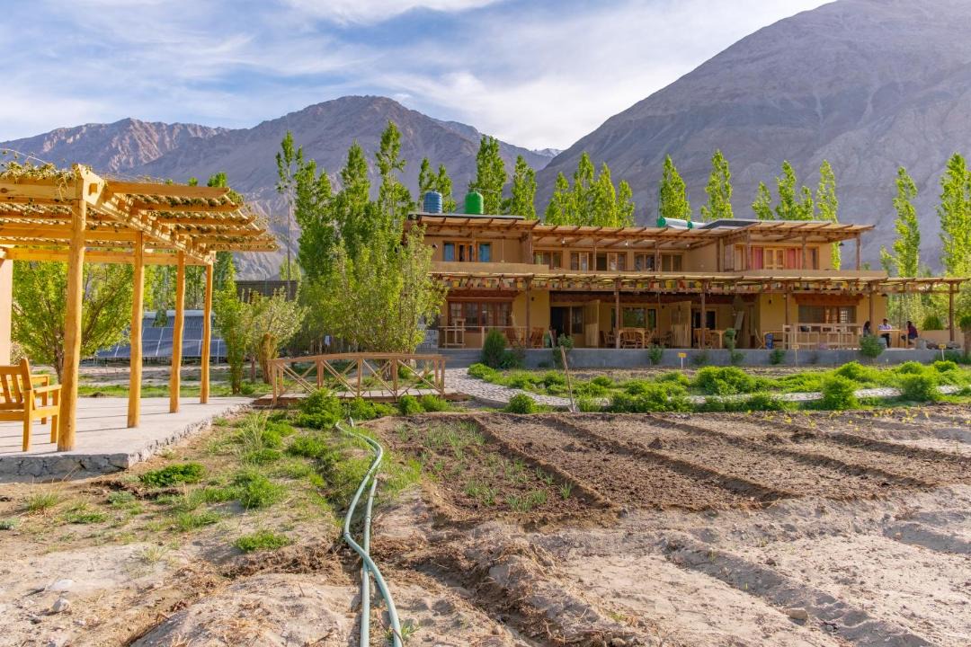 Photo of Others in Nubra Valley