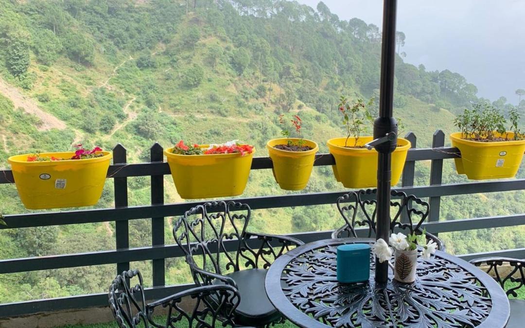 Photo of Others in Kasauli