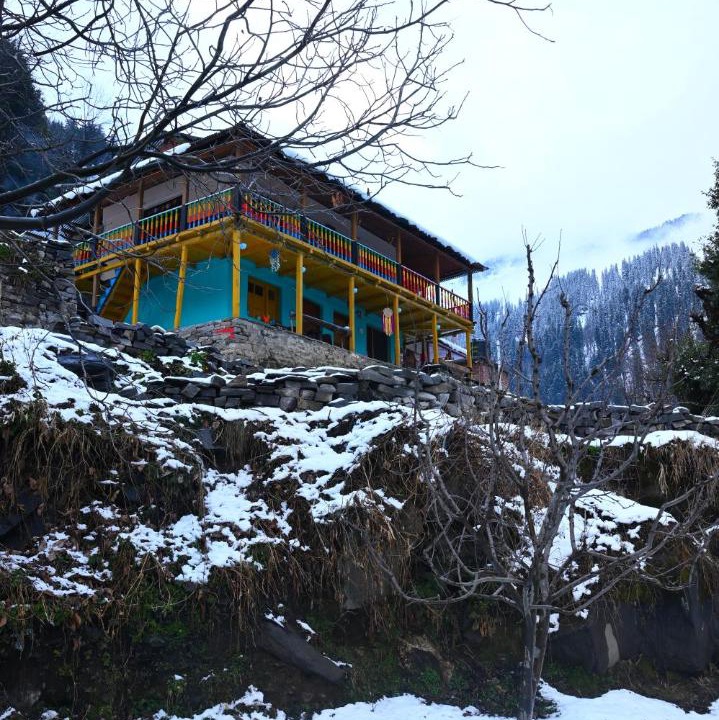 Photo of Others in Manali