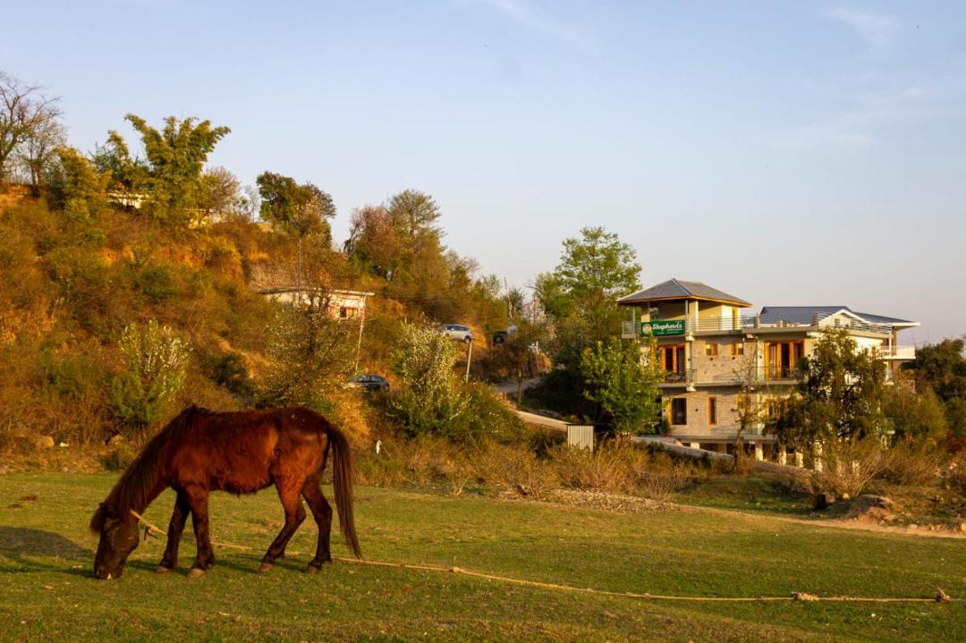 Photo of Others in Sidhpur