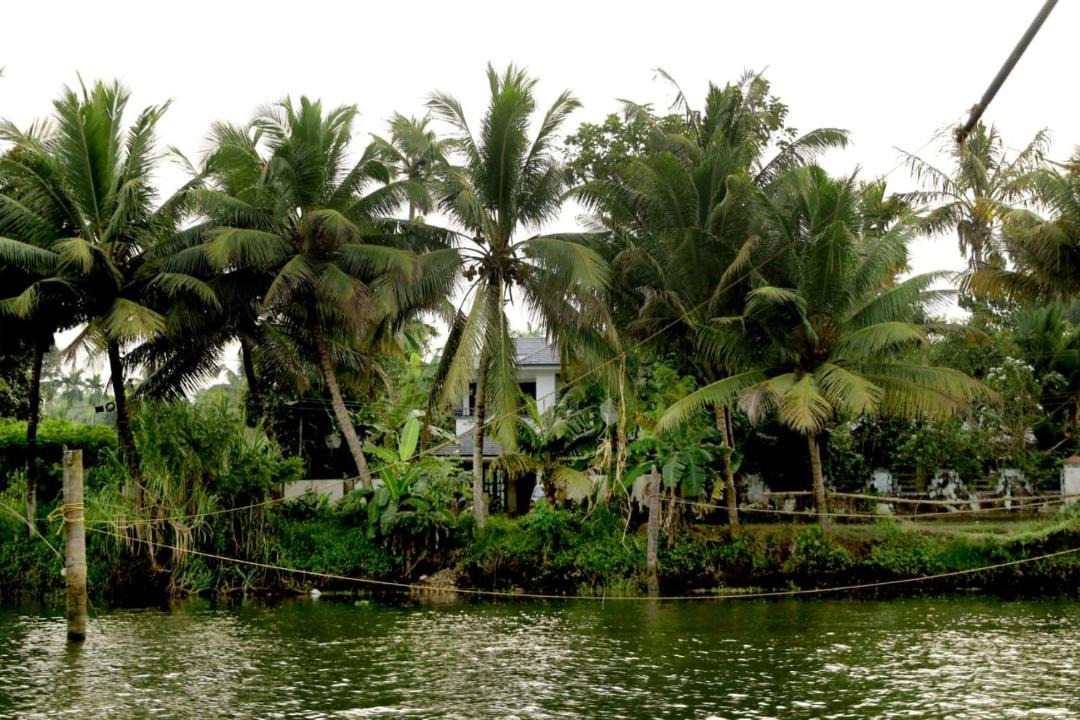Photo of Others in Kunnukara