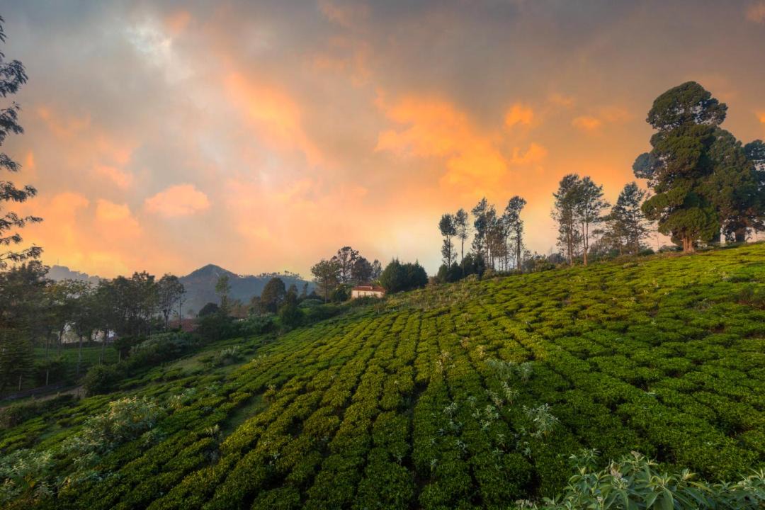Photo of Others in Kotagiri
