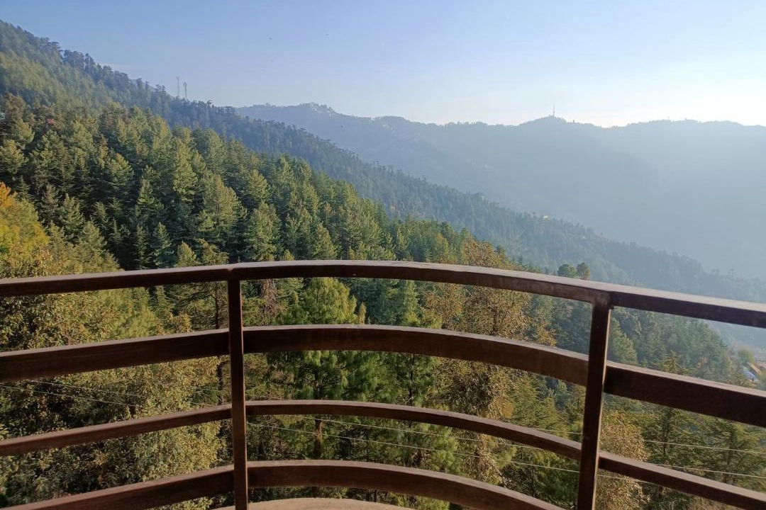 Photo of Others in Shimla