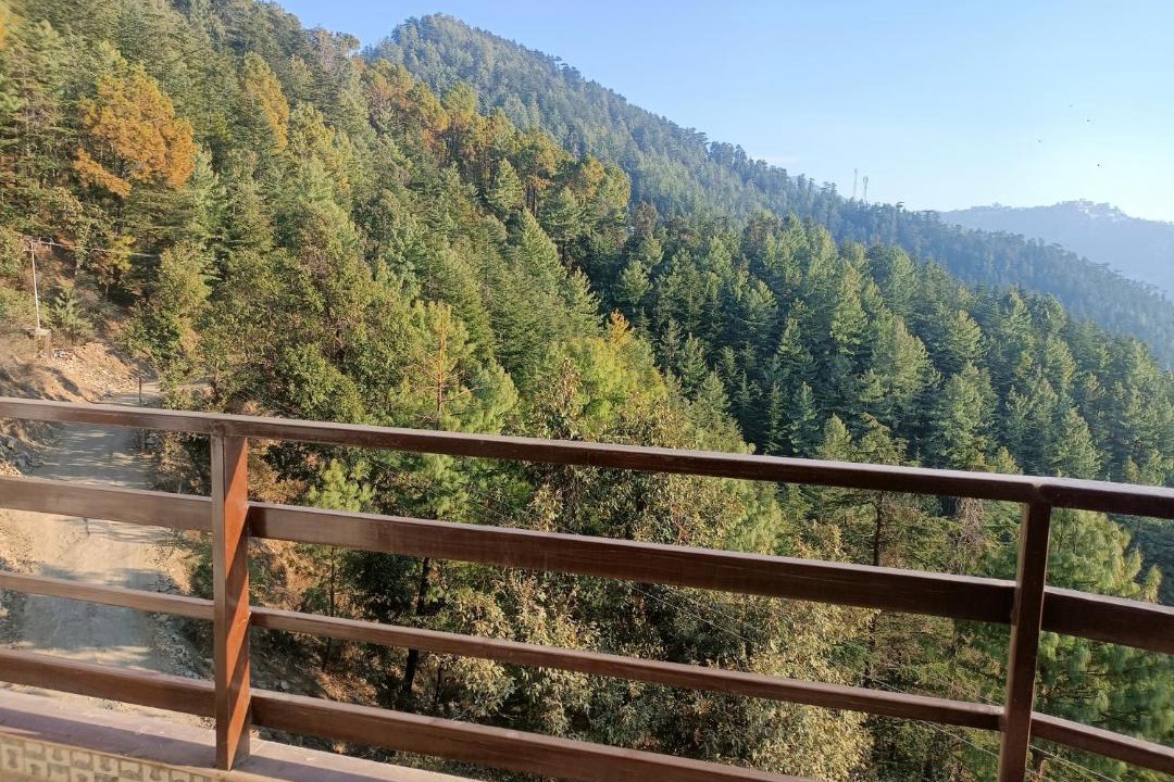 Photo of Others in Shimla