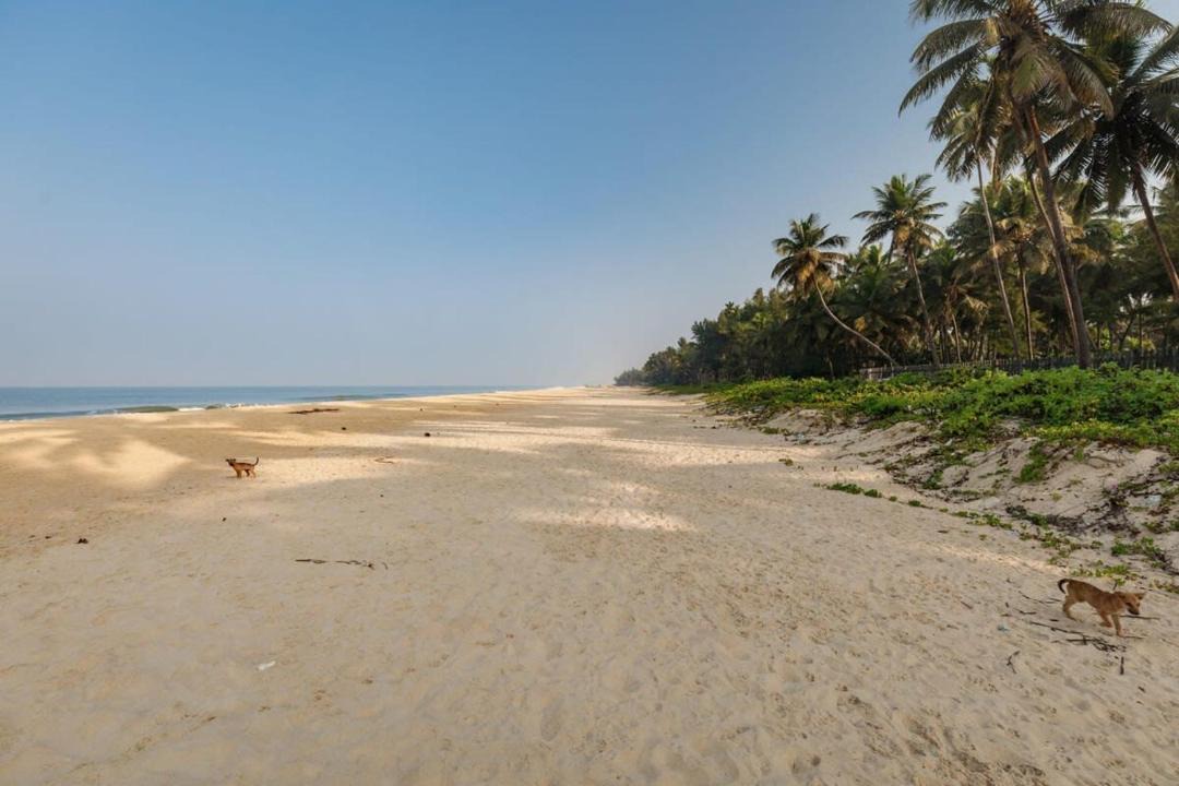 Photo of Others in Saligrama