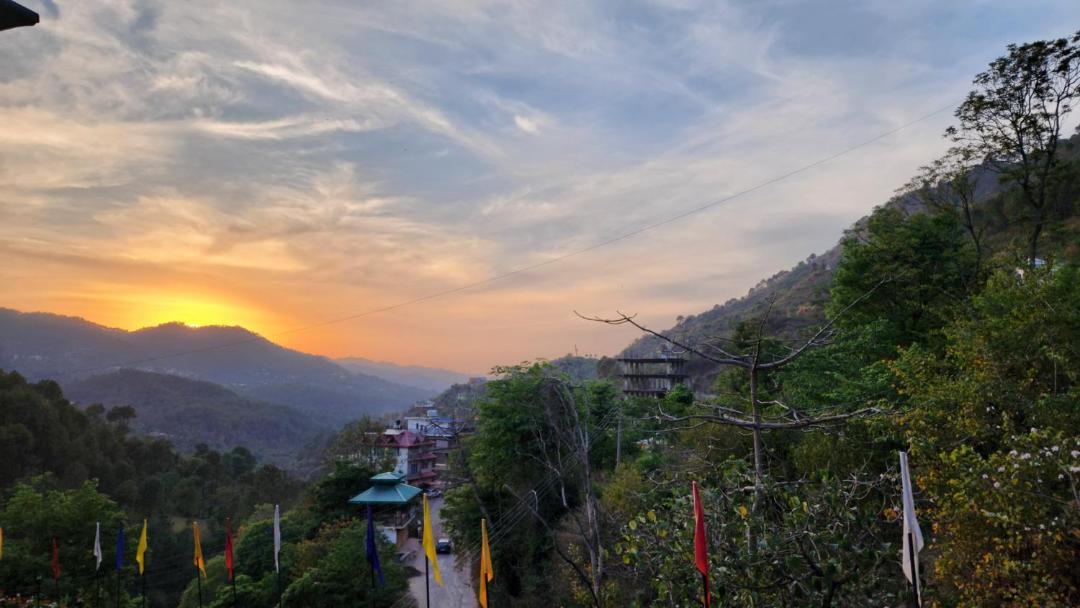 Photo of Others in Solan