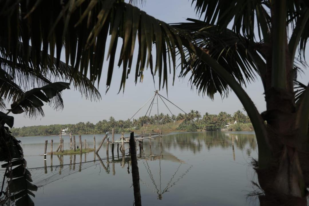 Photo of Others in North Paravur