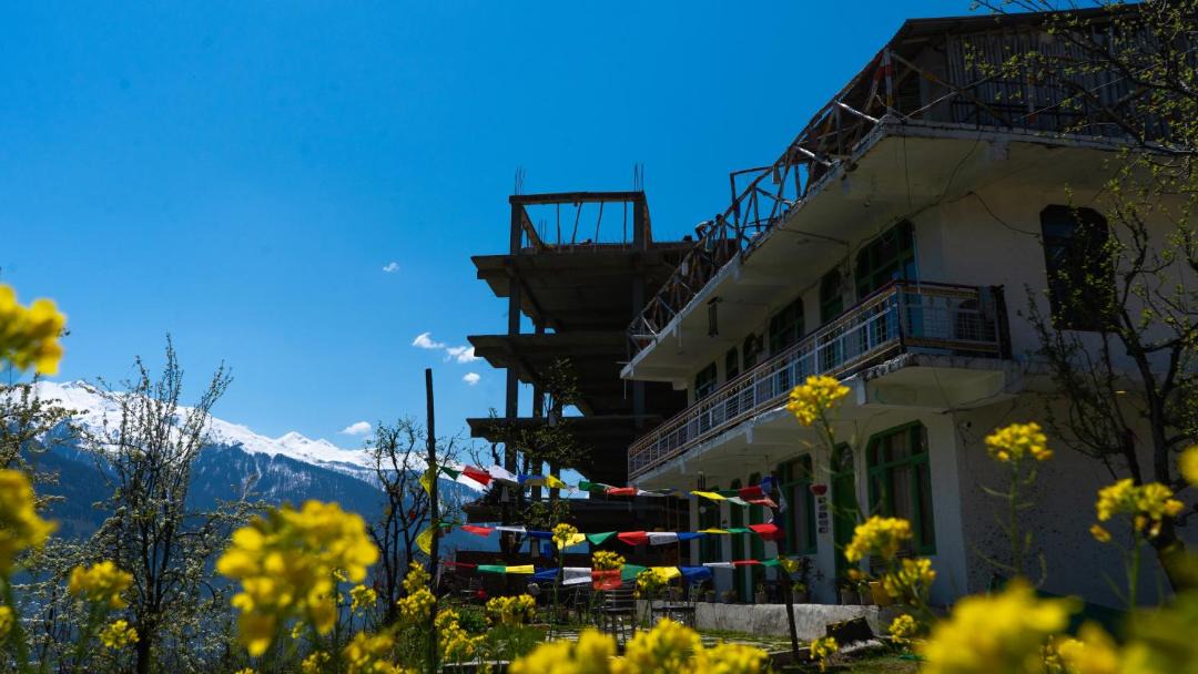 Photo of Others in Manali
