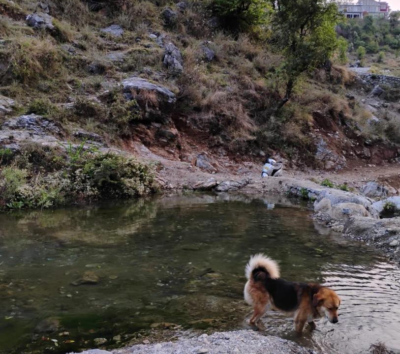 Photo of Others in Mussoorie