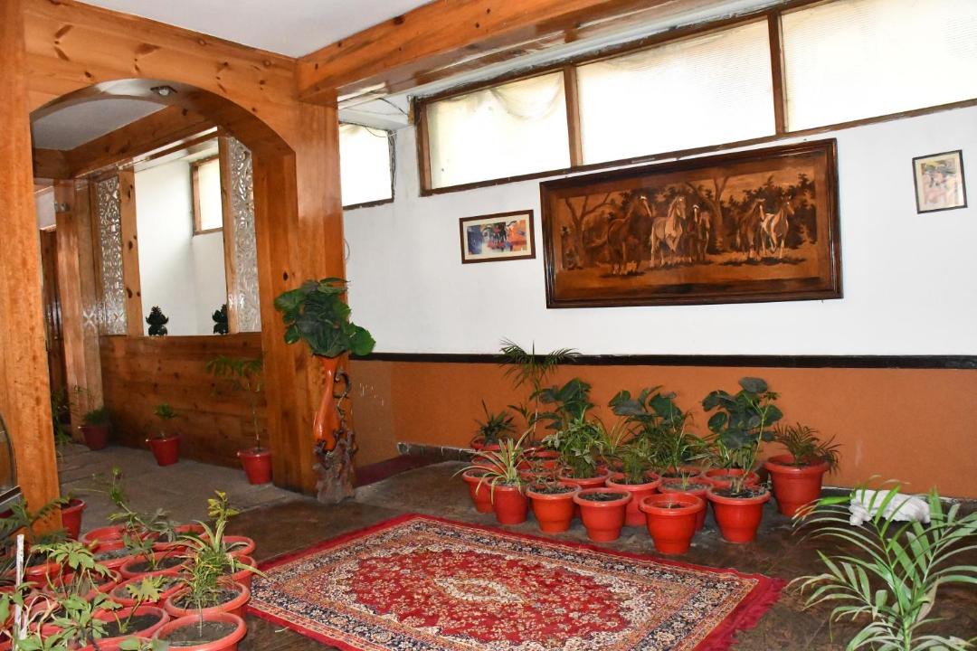 Photo of Others in Old Manali