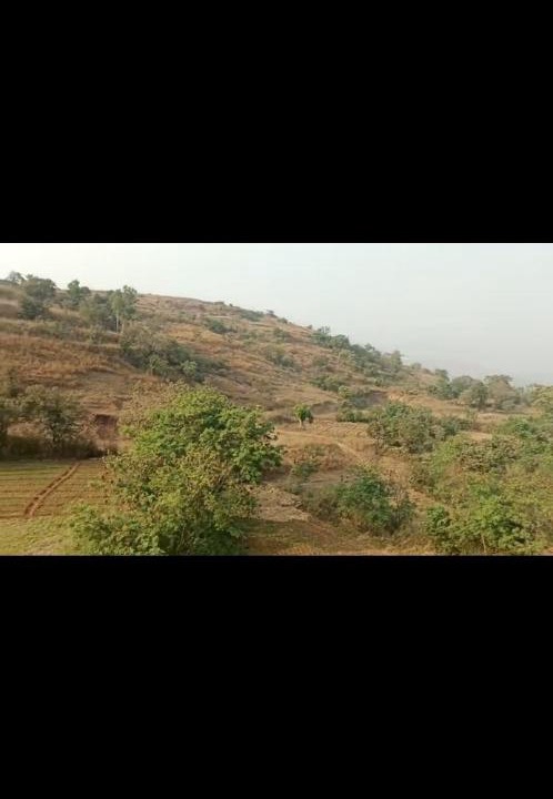 Photo of Others in Kadadhe