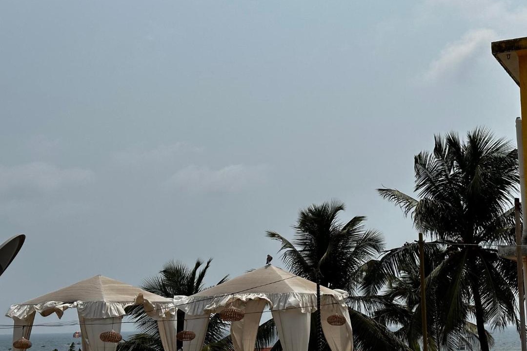 Photo of Others in Baga
