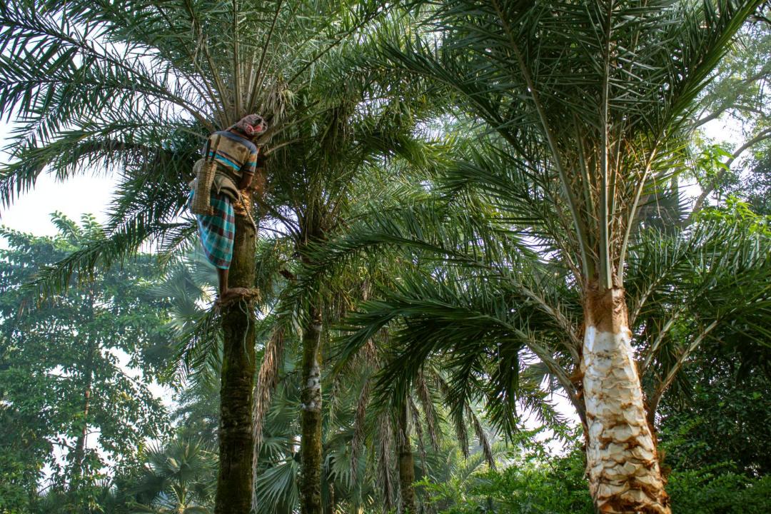 Photo of Others in Nalkura