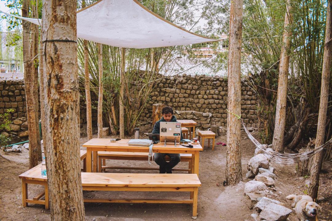 Photo of Others in Leh