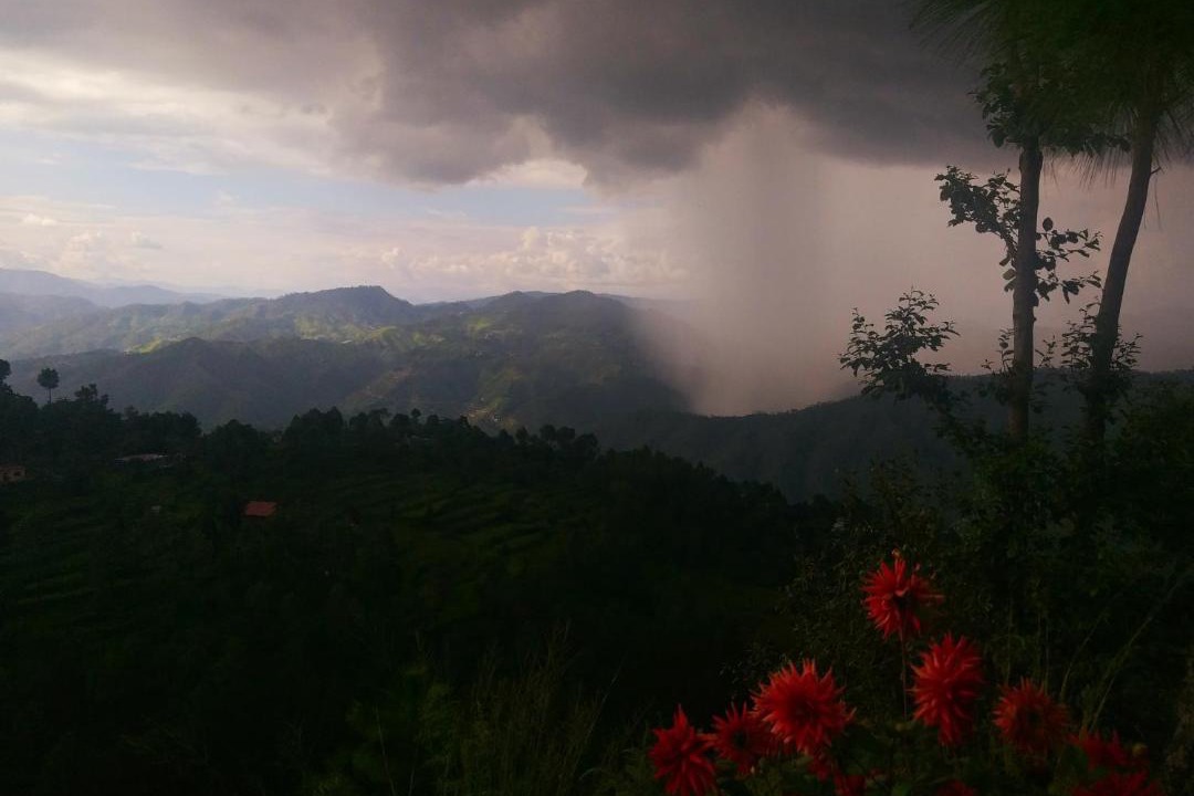 Photo of Others in Almora