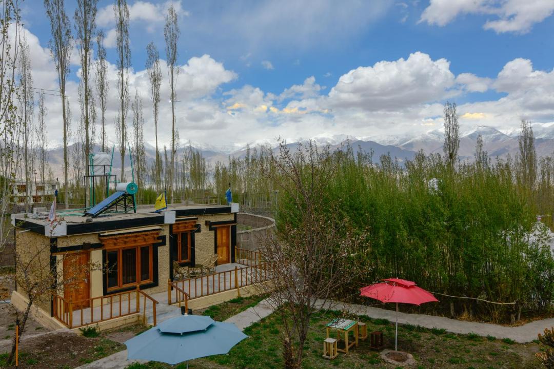 Photo of Others in Leh