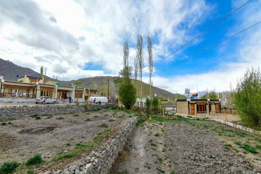 Photo of Others in Leh