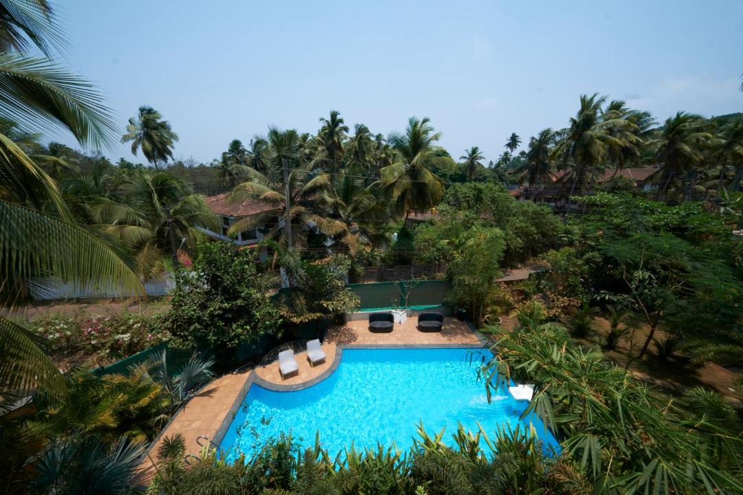 Photo of Others in Siolim