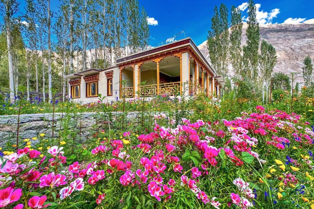 Photo of Others in Nubra Valley