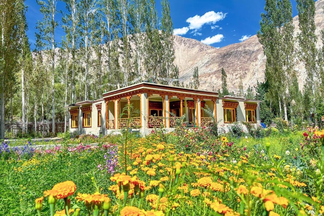 Photo of Others in Nubra Valley