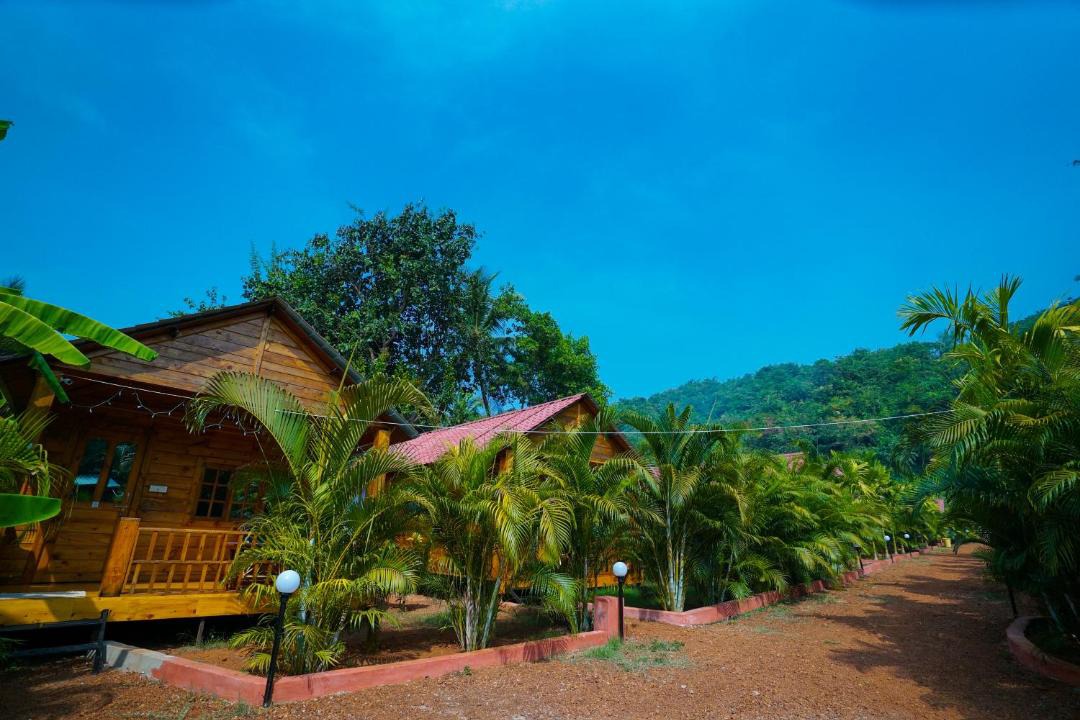 Photo of Others in Agonda
