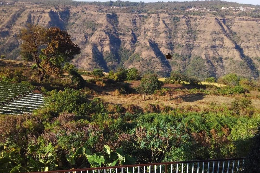 Photo of Others in Mahabaleshwar