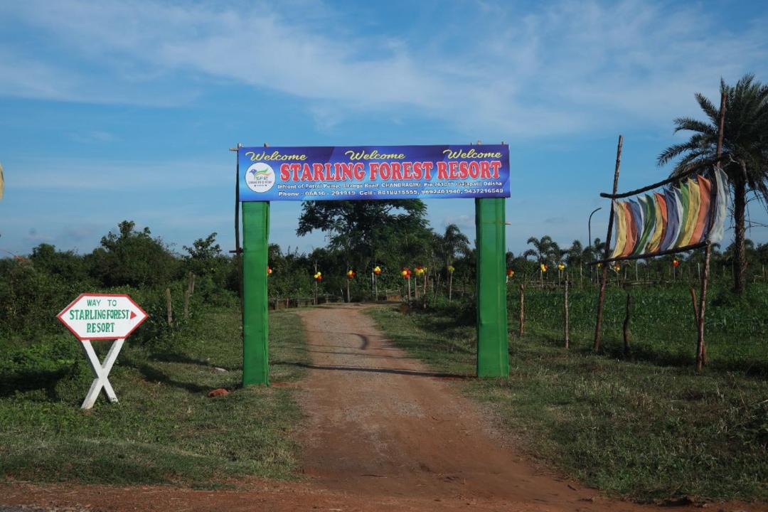 Photo of Others in Taptapani