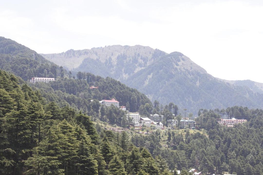 Photo of Others in Patnitop