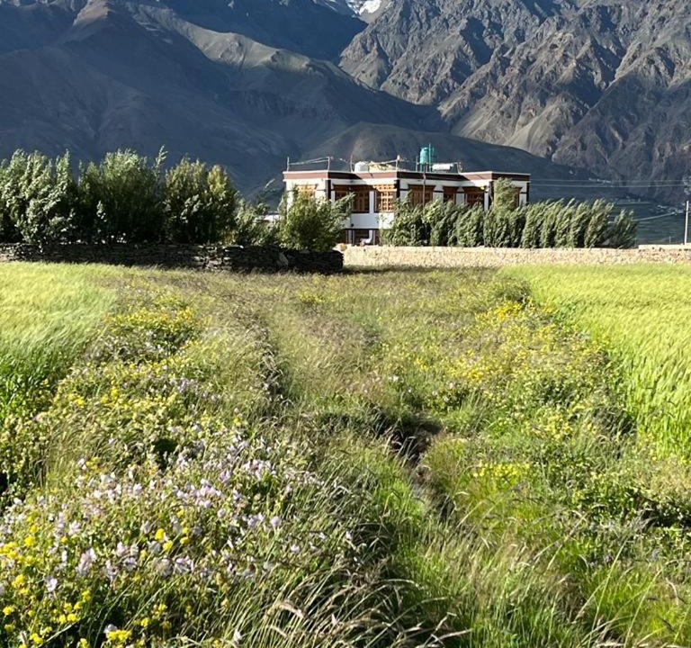 Photo of Others in Kargil
