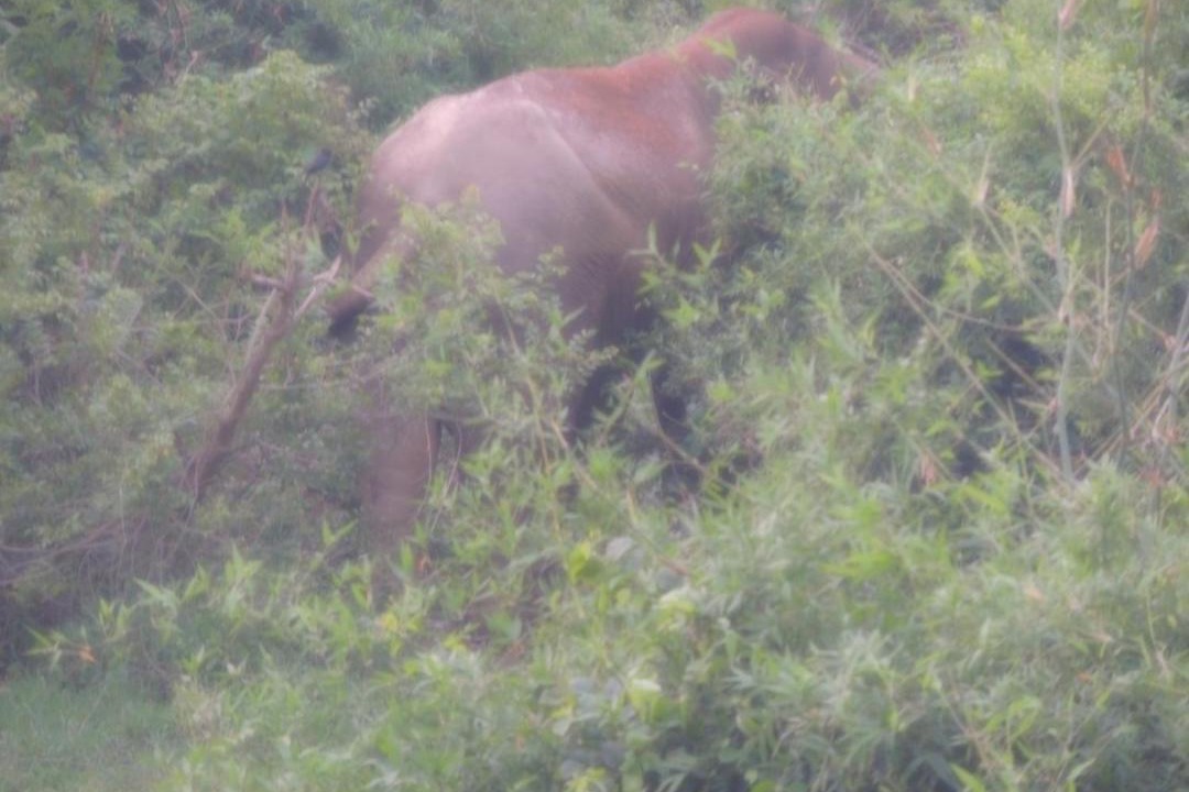 Photo of Others in Bhubaneshwar