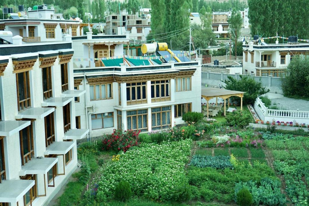 Photo of Others in Leh