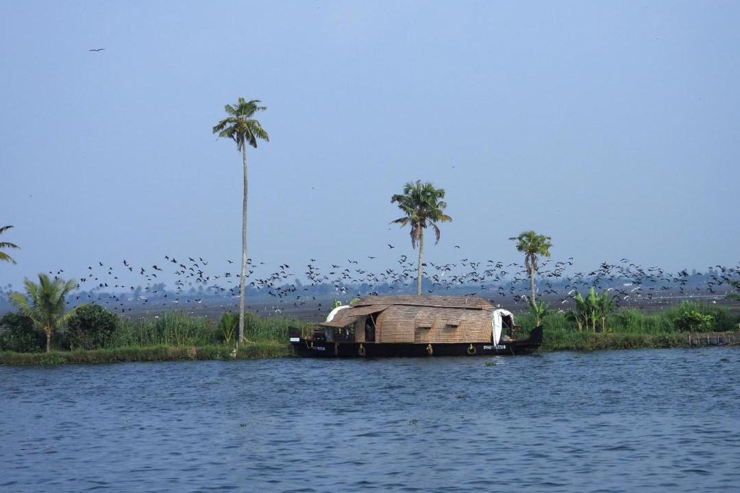 Photo of Others in Kumarakom